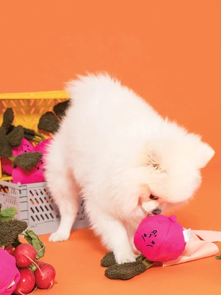 Jouet De Fouille Et D'enrichissement Pour Chien - Radis - The FurryFolks 4 Jouet De Fouille Et D'enrichissement Pour Chien - Radis - The FurryFolks – Image 2