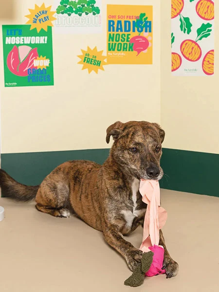 Jouet De Fouille Et D'enrichissement Pour Chien - Radis - The FurryFolks 6 Jouet De Fouille Et D'enrichissement Pour Chien - Radis - The FurryFolks – Image 4