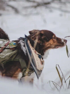 Bandana En Coton - Appalachian Mountains - The Landmark Project -Animalerie the landmark project bandana pour chien Appalachian Animals 6
