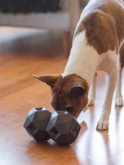 Distributeur De Friandises Interactif Pour Chien - The Odin - Gris Foncé 8 Distributeur De Friandises Interactif Pour Chien - The Odin - Gris Foncé -Animalerie up dog jouet interactif distributeur friandises pour chein the odin noir 3