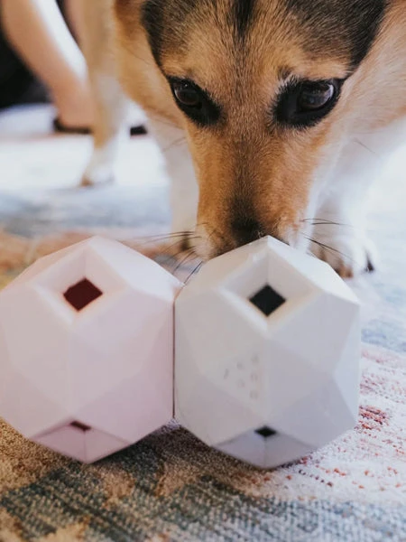 Distributeur De Friandises Interactif Pour Chien - The Odin - Gris 4 Distributeur De Friandises Interactif Pour Chien - The Odin - Gris – Image 2