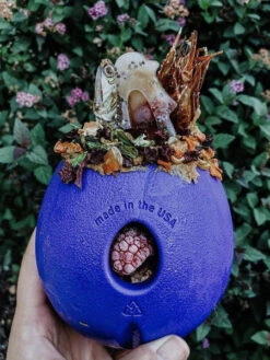 West Paw Jouet Interactif Puzzle Pour Chien - Rumbl Zogoflex - Violet - Eco-friendly -Animalerie west paw Rumbl jouet ecologique naturel pour chien resistant violet 3