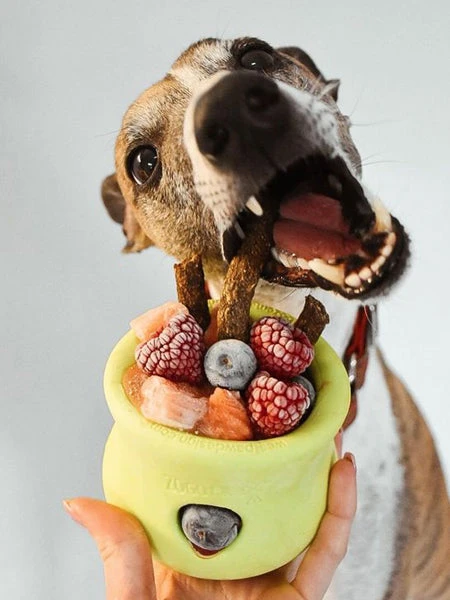 Jouet D'enrichissement Pour Chien - TOPPL Zogoflex - West Paw 4 Jouet D'enrichissement Pour Chien - TOPPL Zogoflex - West Paw – Image 2