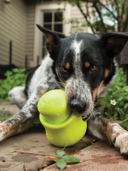 Jouet D'enrichissement Pour Chien - TOPPL Zogoflex - West Paw 5 Jouet D'enrichissement Pour Chien - TOPPL Zogoflex - West Paw – Image 3