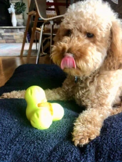 West Paw Jouet à Garnir Puzzle Pour Chien - Tux Zogoflex - Eco-friendly -Animalerie west paw Tux jouet a garnir fourrer ecologique naturel pour chien vert 2