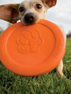 Frisbee Eco Friendly Pour Chien - Zisc - West Paw - Orange -Animalerie west paw frisbee zisc chien ecologique orange 2