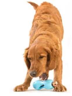 West Paw Jouet Interactif Puzzle Pour Chien - Qwizl Zogoflex - Bleu - Eco-friendly 13 West Paw Jouet Interactif Puzzle Pour Chien - Qwizl Zogoflex - Bleu - Eco-friendly -Animalerie west paw jouet ecologique naturel chien qwizl zogoflex puzzle interactif 9