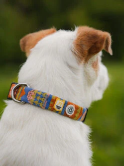 Collier Original Pour Chien Motif Nightless Night - Woolly Wolf 6 Collier Original Pour Chien Motif Nightless Night - Woolly Wolf -Animalerie woolywolf collier design pour chien Nightless Night 2