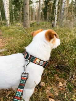 Collier Original Pour Chien Motif Woodland - Woolly Wolf -Animalerie woolywolf collier design pour chien woodland 1 94fe44f8 a695 47d3 9266 56dd1aa7dedb