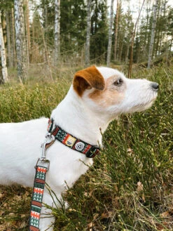 Collier Original Pour Chien Motif Woodland - Woolly Wolf -Animalerie woolywolf collier design pour chien woodland 4