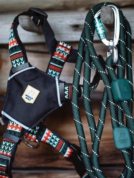 Laisse En Corde Recyclée Pour Chien - Evergreen - Woolly Wolf 5 Laisse En Corde Recyclée Pour Chien - Evergreen - Woolly Wolf – Image 3