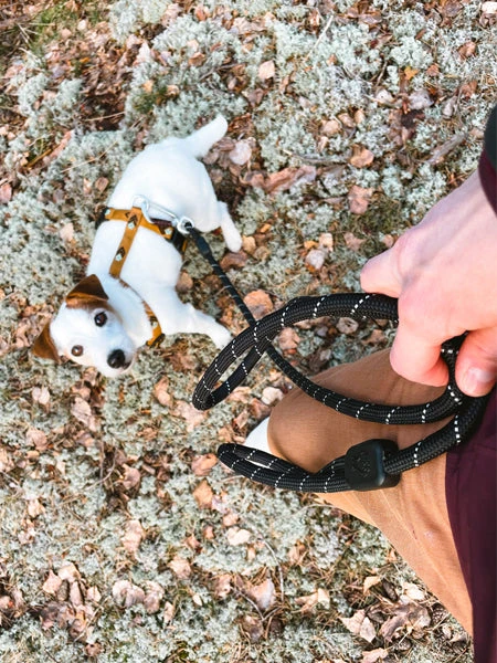 Laisse En Corde Recyclée Pour Chien - Black Raven - Woolly Wolf 4 Laisse En Corde Recyclée Pour Chien - Black Raven - Woolly Wolf – Image 2