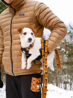 Harnais Original Pour Chien Motif Sea To Summit - Woolly Wolf -Animalerie woolywolf sac friandises design pour chien 2 cd8ce1c0 abd9 45d3 b6f7 aff4ff75e7da