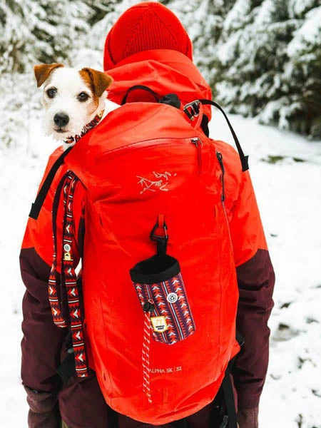 Laisse Originale Pour Chien Motif Polar Night - Woolly Wolf 4 Laisse Originale Pour Chien Motif Polar Night - Woolly Wolf – Image 2