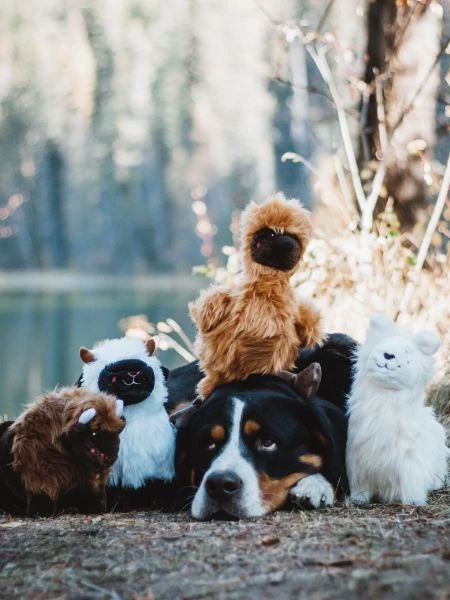 Peluche Originale Pour Chien - Larry Le Lama 🦙 - Zippy Paws 4 Peluche Originale Pour Chien - Larry Le Lama 🦙 - Zippy Paws – Image 2