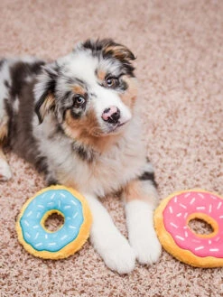 Peluche Originale Pour Chien - 🍩 Donutz Fraise - Zippy Paws 15 Peluche Originale Pour Chien - 🍩 Donutz Fraise - Zippy Paws -Animalerie zippy paws peluche pour chien donutz 11