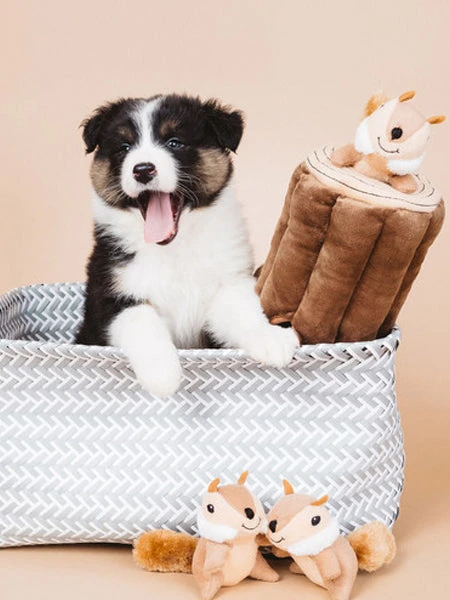 Jouet D'occupation Pour Chien Original - Bûche Ecureuils 🐿️ - ZippyPaws 4 Jouet D'occupation Pour Chien Original - Bûche Ecureuils 🐿️ - ZippyPaws – Image 2