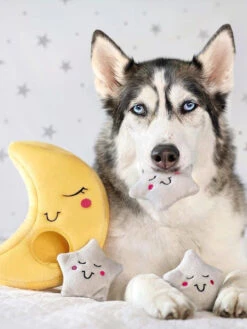Jouet D'occupation Pour Chien Original - Lune 🌛 Et étoiles ⭐ - ZippyPaws -Animalerie zippy paws peluche pour chien lune etoile 5