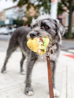 Peluche Originale Pour Chien - 🌮 Tacos Nomnomz - Zippy Paws -Animalerie zippy paws peluche pour chien tacos 4