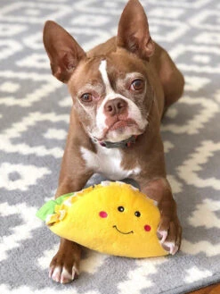 Peluche Originale Pour Chien - 🌮 Tacos Nomnomz - Zippy Paws -Animalerie zippy paws peluche pour chien tacos 5