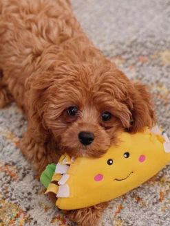 Peluche Originale Pour Chien - 🌮 Tacos Nomnomz - Zippy Paws -Animalerie zippy paws peluche pour chien tacos 7